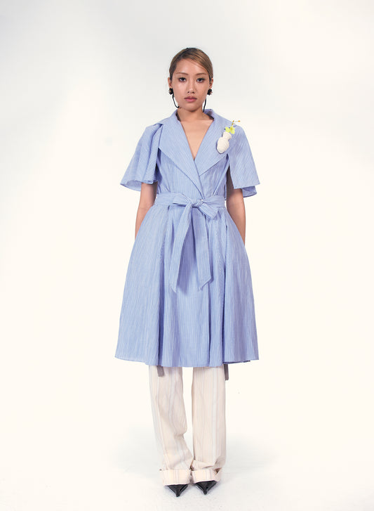 Detachable cape Dress