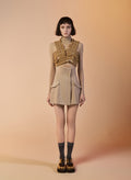 Corset Mini Skirt